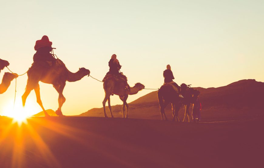Quad biking with Camel ride and Bedouin dinner