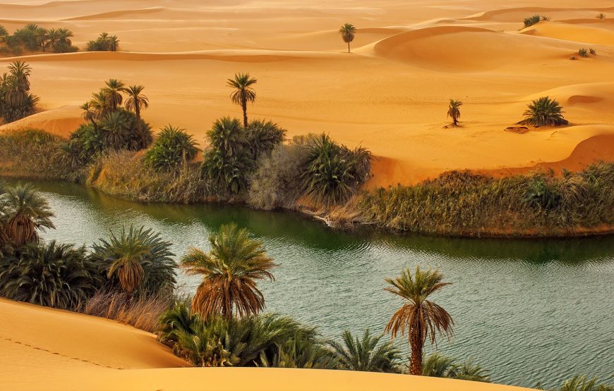 Overnight White Desert from Cairo (Sharing)