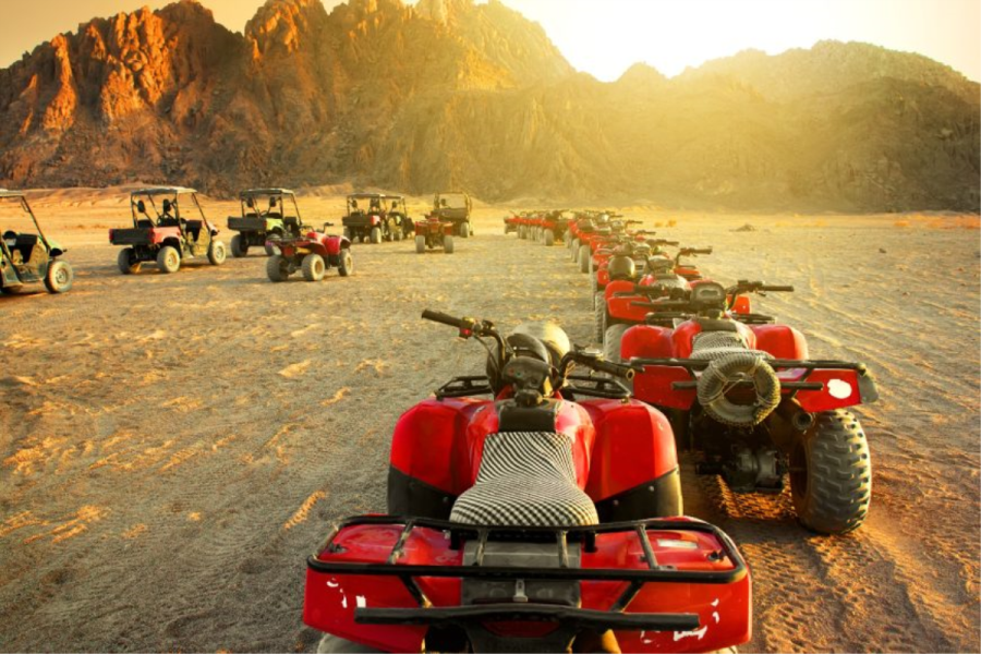 Quad biking with Camel ride and Bedouin dinner