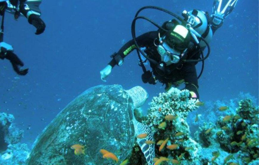 Snorkeling by Boat to Ras Mohamed