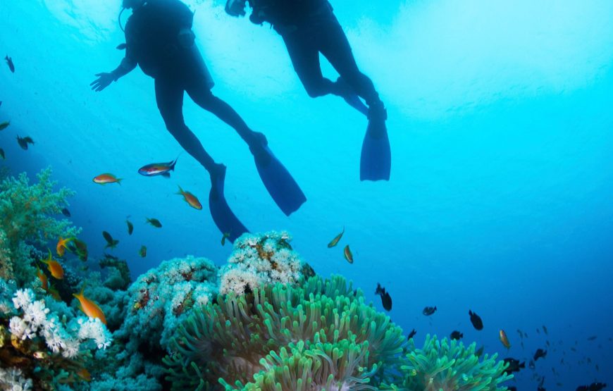 Snorkeling by Boat to Ras Mohamed
