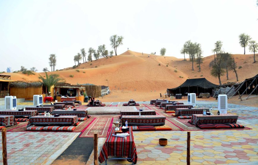 Quad biking with Camel ride and Bedouin dinner