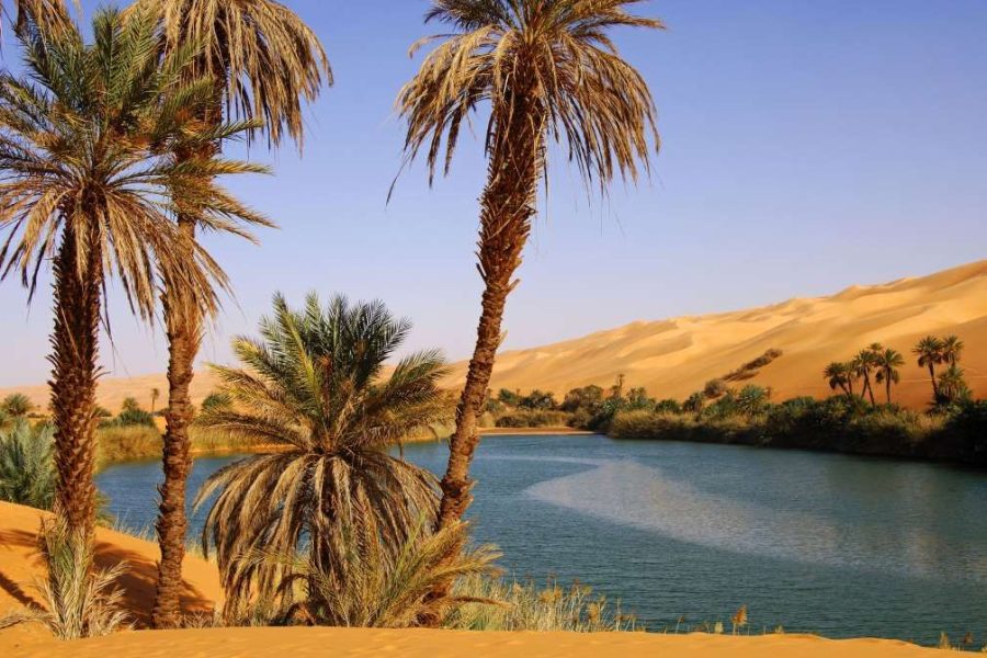 Overnight White Desert from Cairo (Sharing)