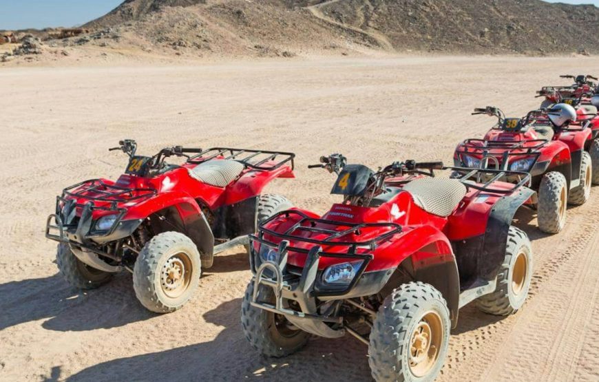 Quad biking with Camel ride and Bedouin dinner