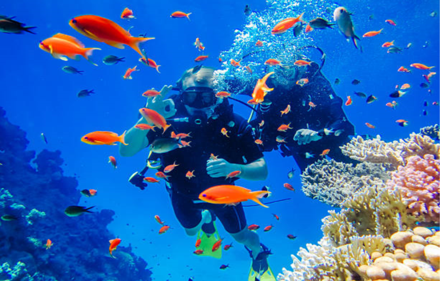 Utopia Island Snorkeling Tour